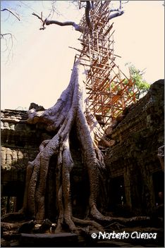 33_2003_12_C4_camboya_angkorwat04