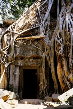 35_2003_12_C4_camboya_angkorwat03