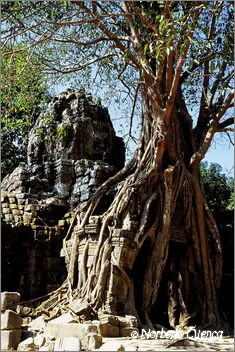 36_2003_12_C7_camboya_angkorwat07