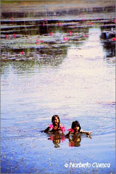 40_2003_12_C5_camboya_angkorwat13