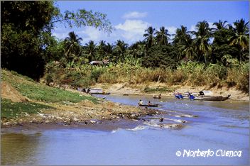 57_2003_12_C9_camboya_batambang07