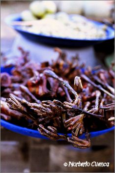 61_2003_12_C9_camboya_batambang27