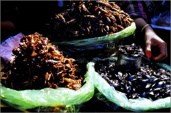 62_2004_01_C10_camboya_pnomphen24