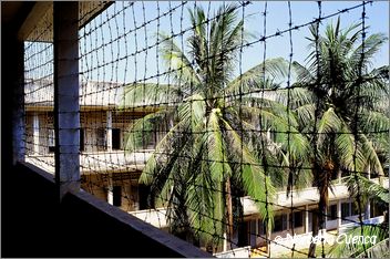 64_2004_01_C10_camboya_pnomphen14