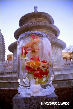 2004_01_Harbin_51