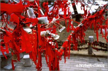 2004_03_TaiShan00