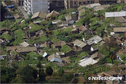 2005_10_north_korea_web_42