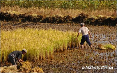 2005_10_north_korea_web_75