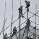 Bricklayers of Beijing  Destruction - Construction