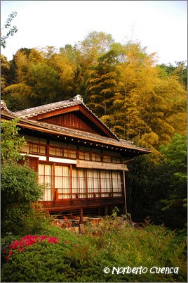 14--2005_05_japon_1_kyoto_131