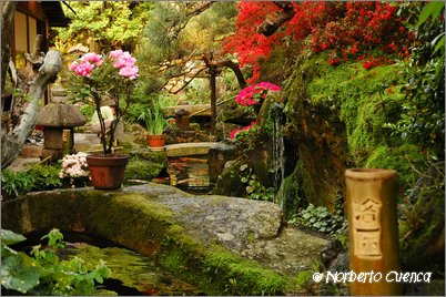 15--2005_05_japon_1_kyoto_150