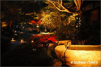 18--2005_05_japon_1_kyoto_163