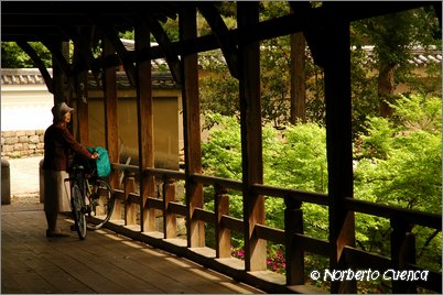 24--2005_05_japon_1_kyoto_221