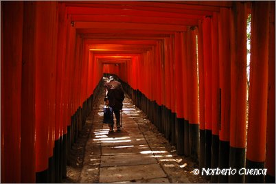 25--2005_05_japon_1_kyoto_226