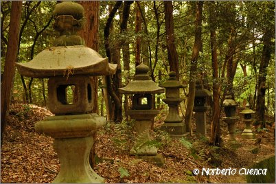 26--2005_05_japon_1_kyoto_238