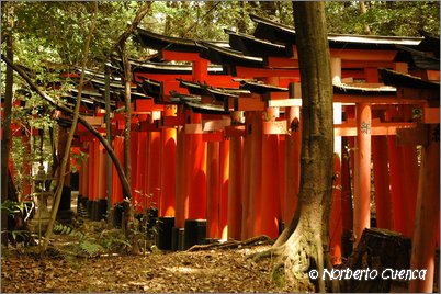 27--2005_05_japon_1_kyoto_242