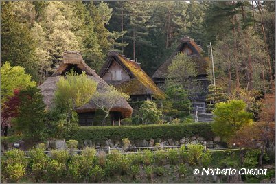 51--2005_05_japon_4_takayama_041