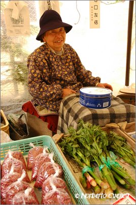 52--2005_05_japon_4_takayama_052