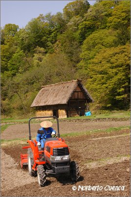 55--2005_05_japon_5_shirakawa_023