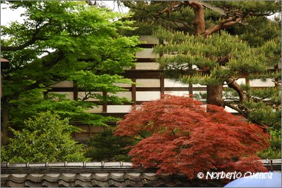 58--2005_05_japon_7_kanazawa_011