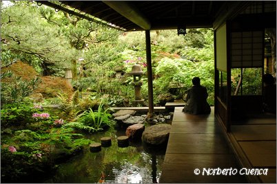 61--2005_05_japon_7_kanazawa_031