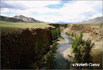 15_2004_07_mongolia_3de8_27