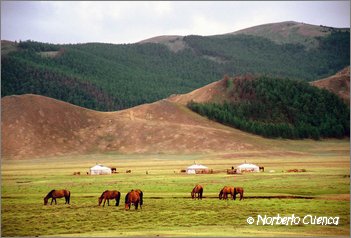21_2004_07_mongolia_5de8_04