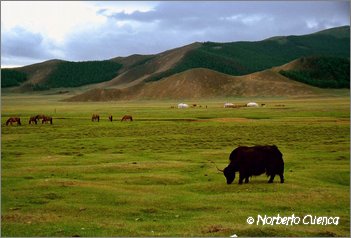 22_2004_07_mongolia_5de8_05