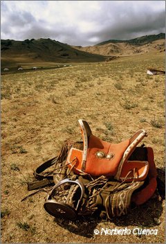 25_2004_07_mongolia_4de8_24