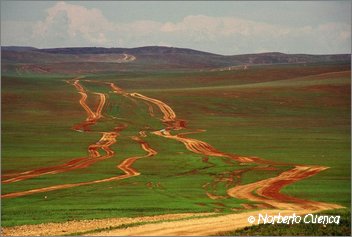 39_2004_07_mongolia_7de8_24