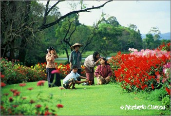 17_2004_09_myanmar_02de12_pinulin_32