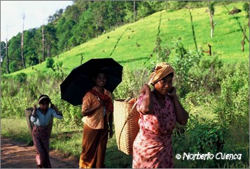 39_2004_09_myanmar_10de12_kalaw_05