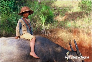 47_2004_09_myanmar_10de12_kalaw_19