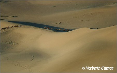 07_China2002_Dunghuang_gobi_camellos