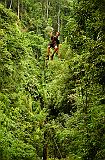 2006_07_laos_0148_bokeo_gibbon_experience