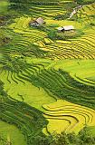 2006_08_vietnam_0849_sapa