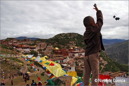 m_03_037_2005_08_tibet_0554_ganden