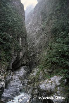28_taiwan2003