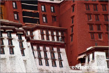 001_2005_08_tibet_0125_lhasa1