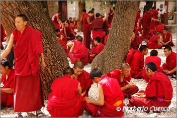 009_2005_08_tibet_0096_lhasa10000
