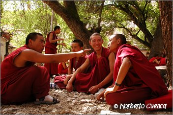 010_2005_08_tibet_0106_lhasa1