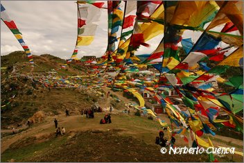 038_2005_08_tibet_0576_ganden