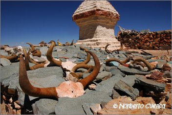067_2005_08_tibet_1062_chiu_manasarovar
