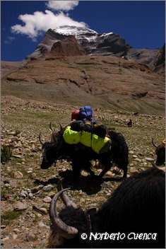078_2005_08_tibet_1203_kailash_kora
