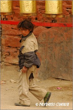 103_2005_08_tibet_1457_paryang