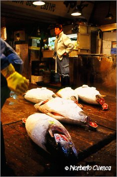 08_2004_04_Tokio_020_