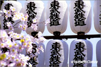 11_2004_04_Tokio_043_