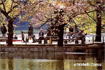 16_2004_04_Tokio_064_