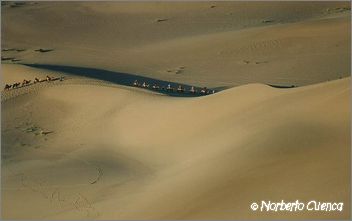029_china2002_dunghuang_gobi_camellos