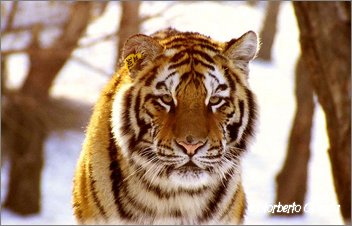 2004_01_Harbin_44